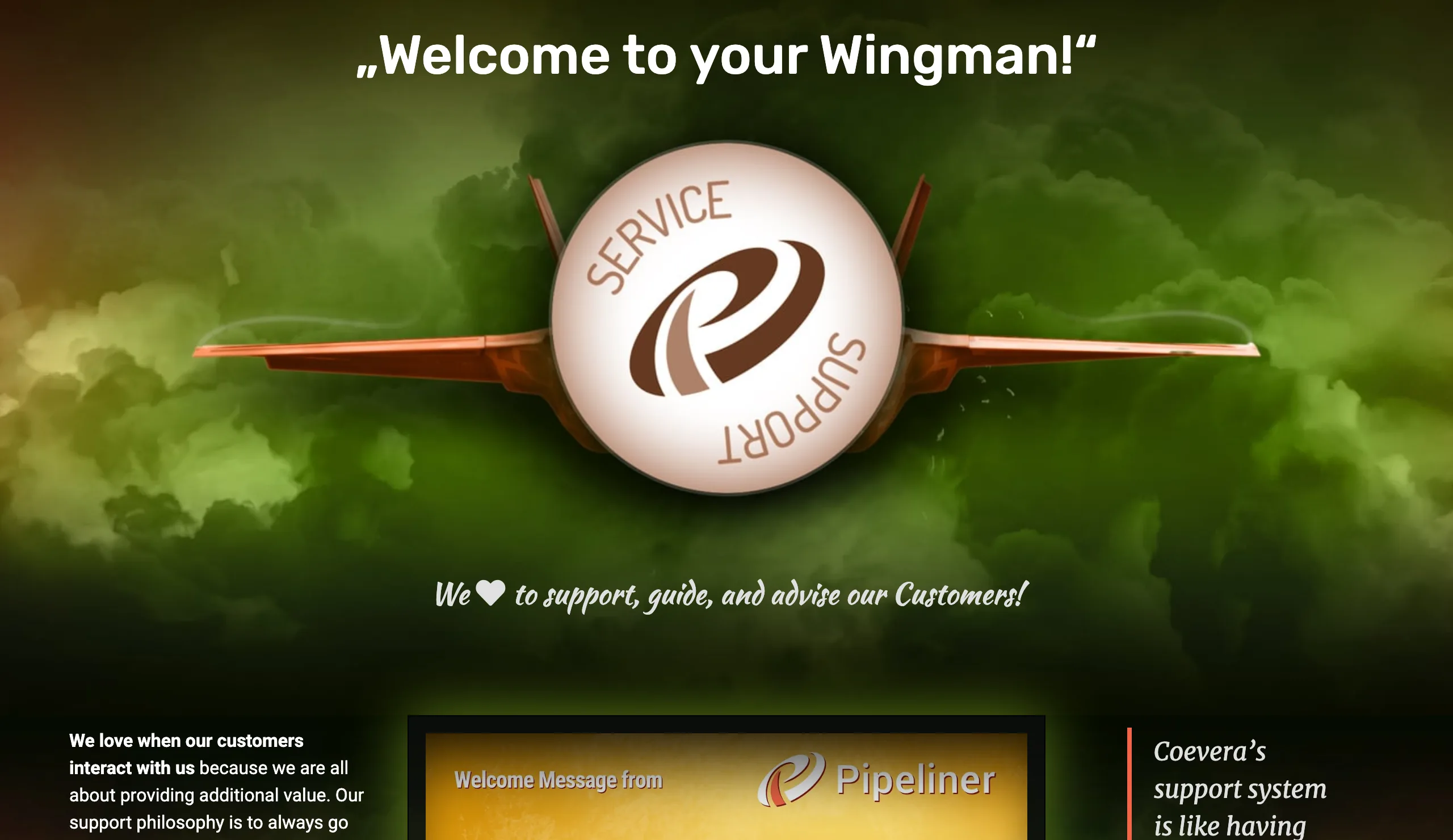 Preview of the Welcome to Your Wingman page