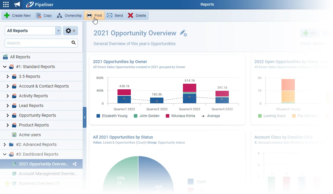 Printing Dashboards and Charts in Reports