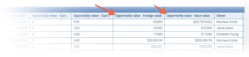 Report Multi Currency Values