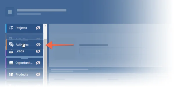 Customization of Record Detail