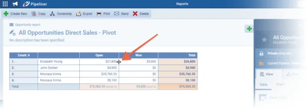 Pivot Reports › Resizing columns