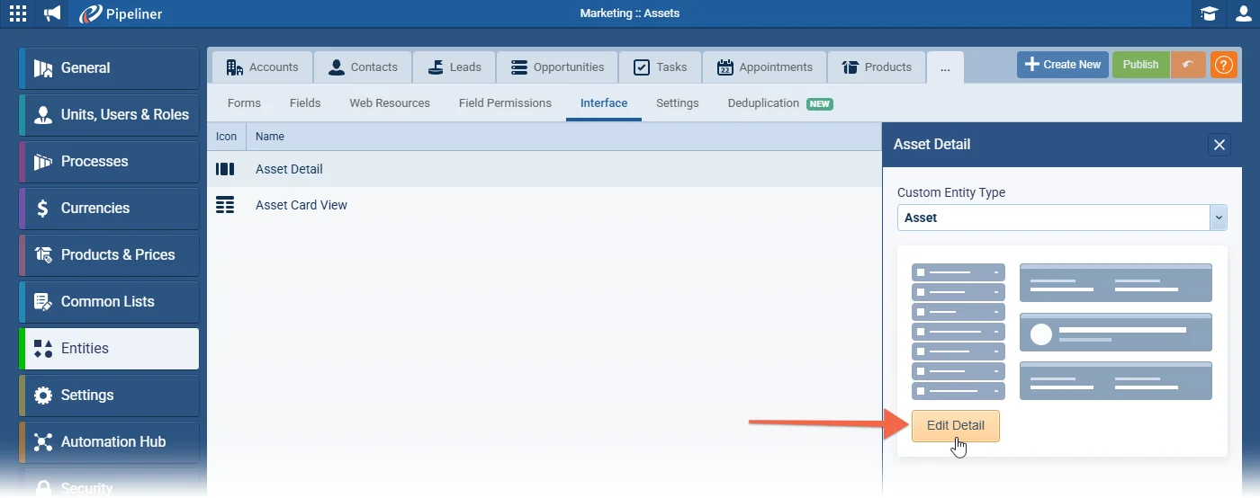Admin › Record Detail Interface Setting for Custom Entities