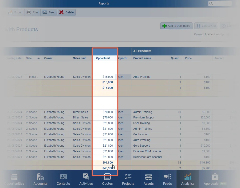 Reports › Grand Total Aggregations