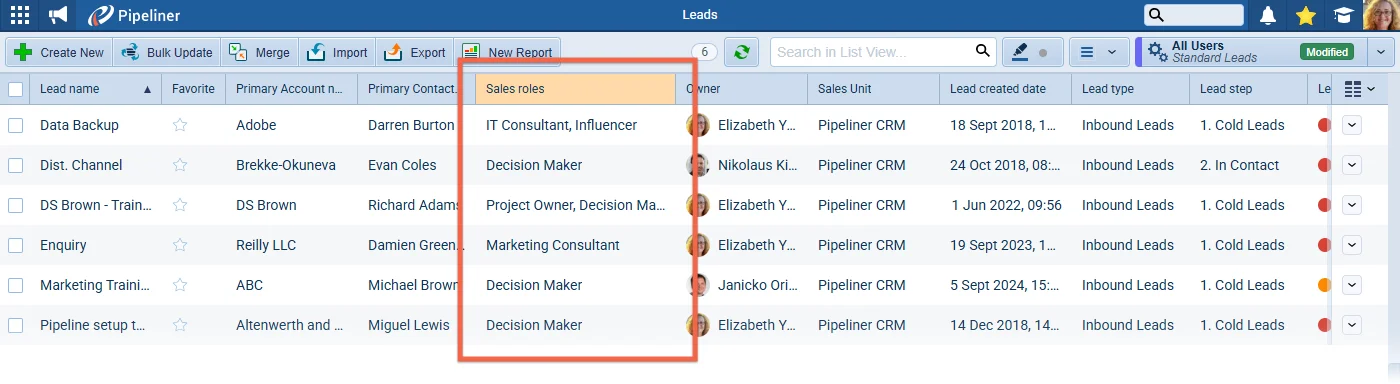 Add "Sales roles" Option to List View Fields in Leads